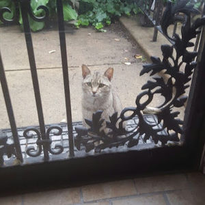 Meet your Posher, Laronda